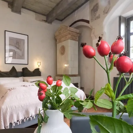 Renaissance-fachwerkhaus Vakantiehuis